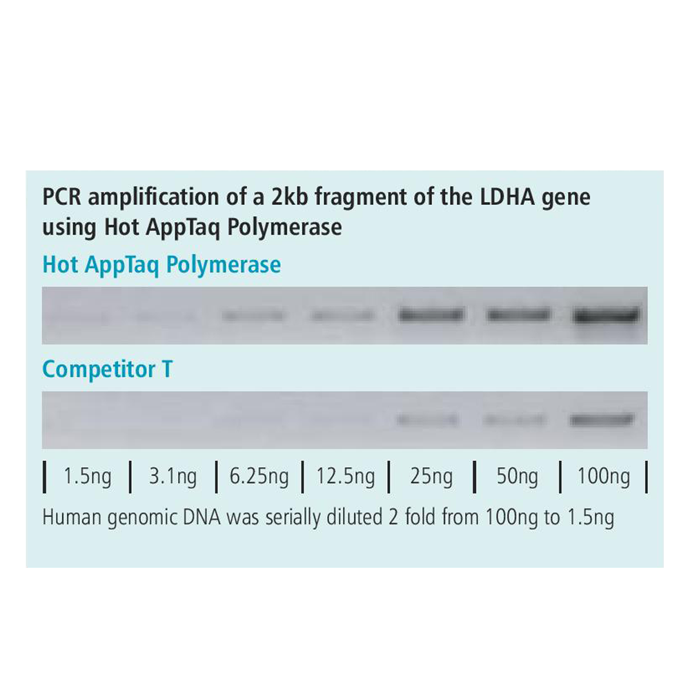 appTAQ Hot Start Polymerase – Appleton Woods | UK Lab Supplies