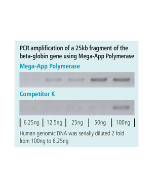 appMEGA Polymerase