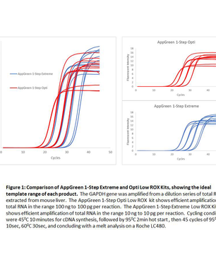 appGREEN 1-Step Opti Low ROX RT-qPCR Kit