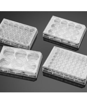 Falcon® Clear Flat Bottom TC-Treated Multiwell Cell Culture Plates, with Lid, Non-Sterile