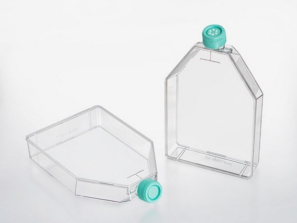 Tissue Culture Flasks, Jet Biofil